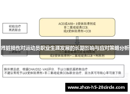 肾脏损伤对运动员职业生涯发展的长期影响与应对策略分析
