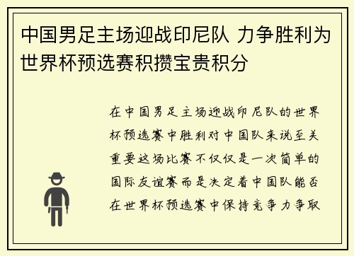 中国男足主场迎战印尼队 力争胜利为世界杯预选赛积攒宝贵积分
